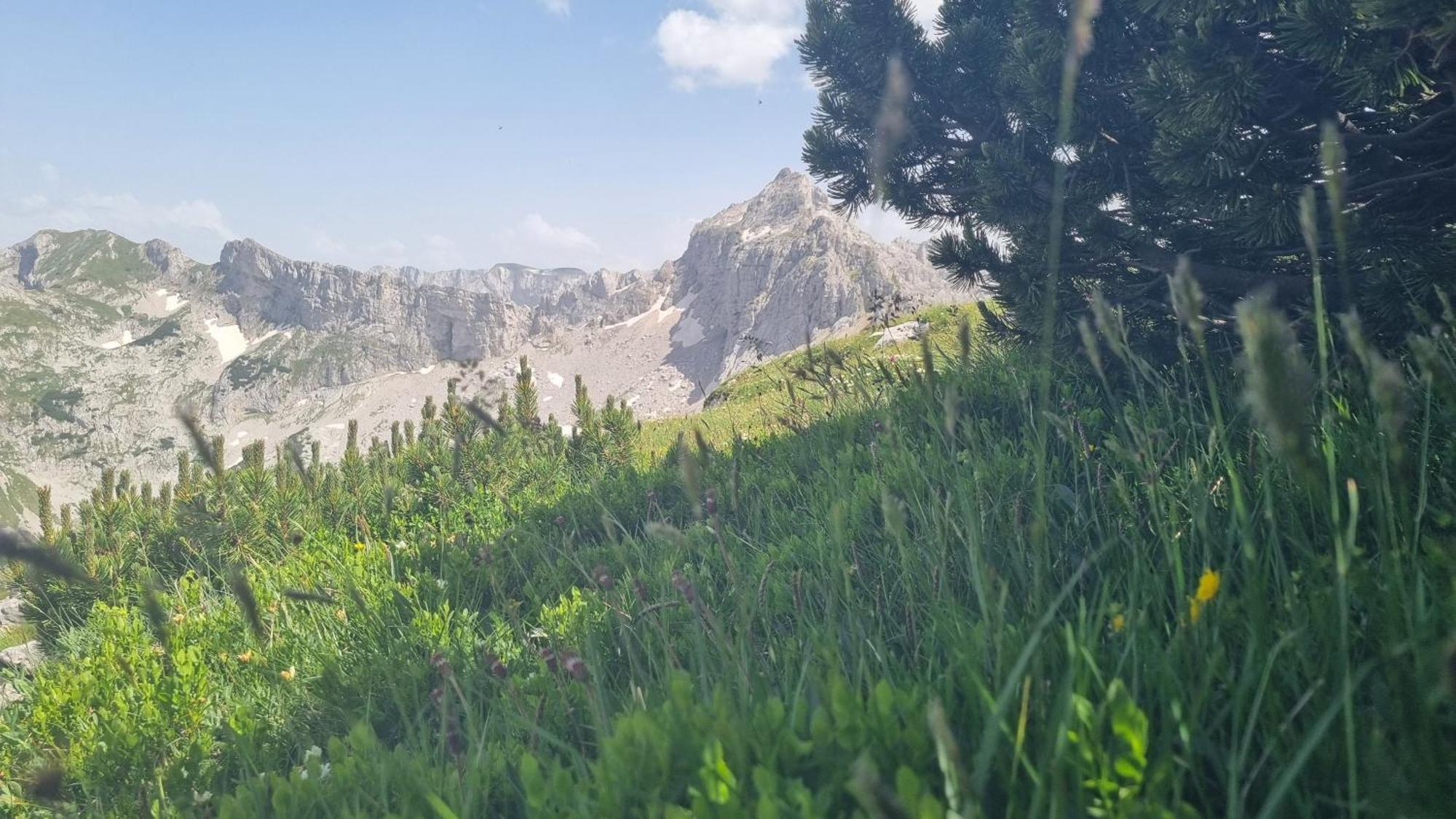 Durmitor Glamp Ξενοδοχείο Žabljak Εξωτερικό φωτογραφία